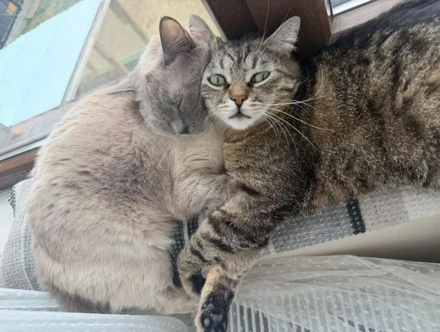 Masha & Momo - ein zauberhaftes Geschwisterpaar