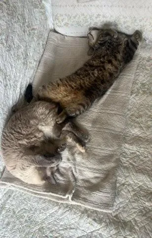 Masha & Momo - ein entzückendes Geschwisterpaar