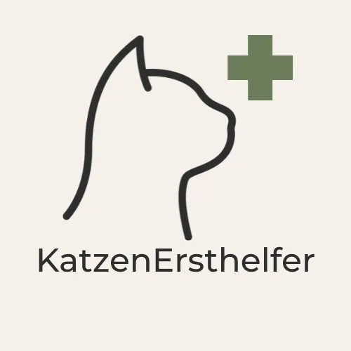 Online Notfall-Kurs für Katzen
